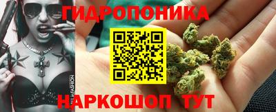 кокс Нягань