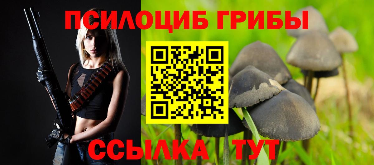 Псилоцибиновые грибы Magic Shrooms  купить наркотики сайты  Псилоцибиновые грибы GOLDEN TEACHER  Трёхгорный  Вход с VPN 